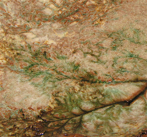 natural twig tile